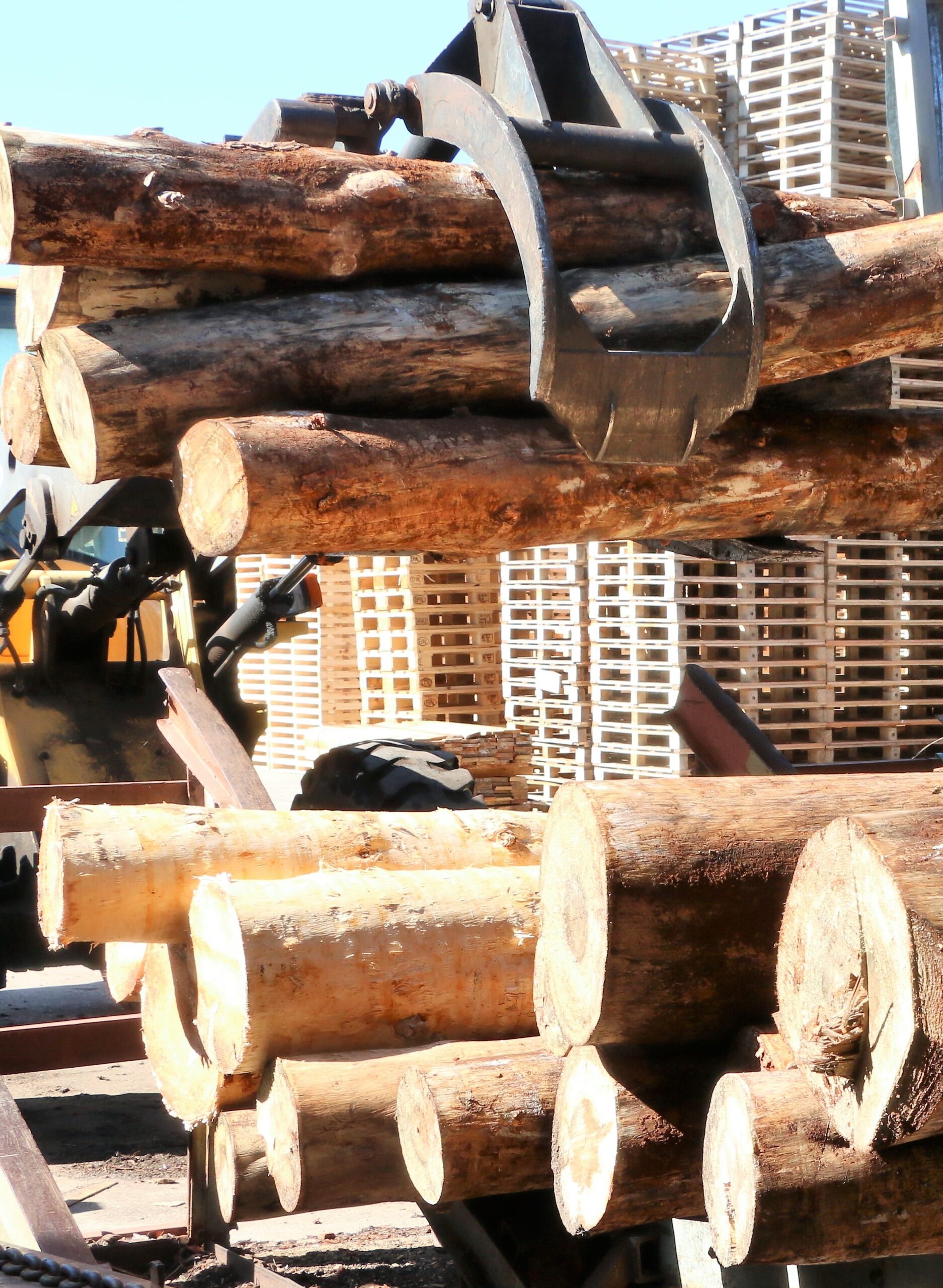 Productos y servicios Palet Direct